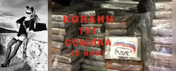 Альфа ПВП Нея